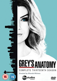 Grey’s Anatomy (season 13) แพทย์มือใหม่หัวใจเกินร้อย ปี 13 [ซับไทย]